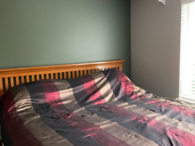 Green Bedroom Accent Wall Painting