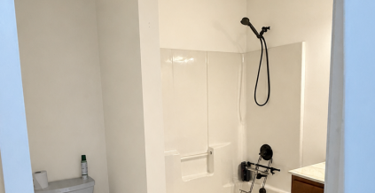 Ceiling & Bathroom Painting