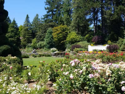 Rose Park