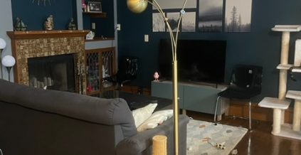 Family Room Interior