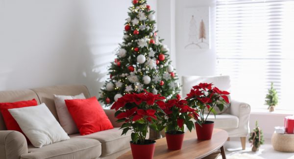 Renovate Your Home This Winter With Interior Painting
