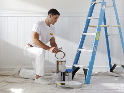 Painter and Ladder
