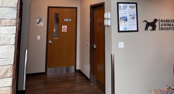 Animal Hospital in Chesapeake, VA