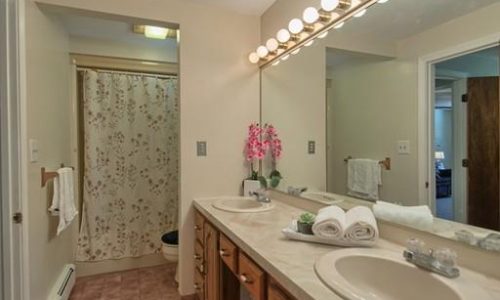 Bathroom Painting