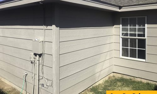 Duplex Painting