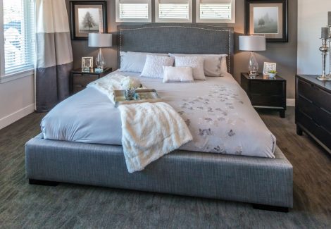 Interior Bedroom Painting
