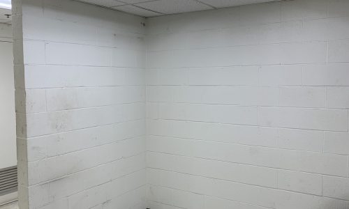 Bathroom Before Repainting