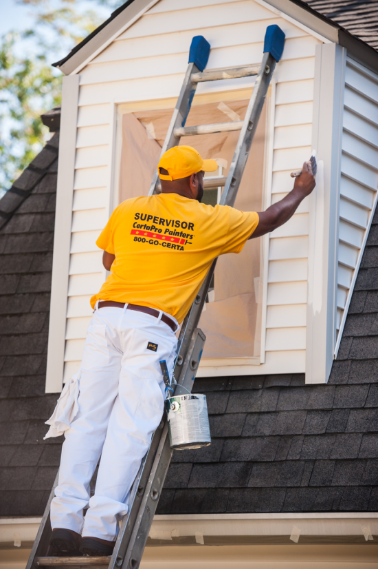 professional house painting exterior