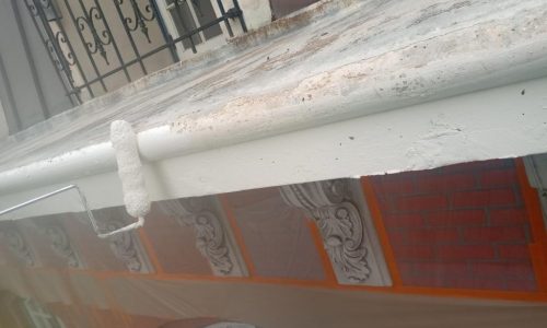 Decayed Exterior Paint