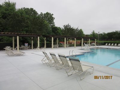 charlotte pool painters