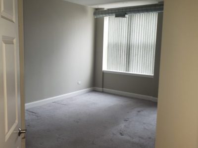 professional house painters in chicago il