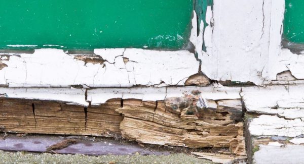 Wood Rot Repair