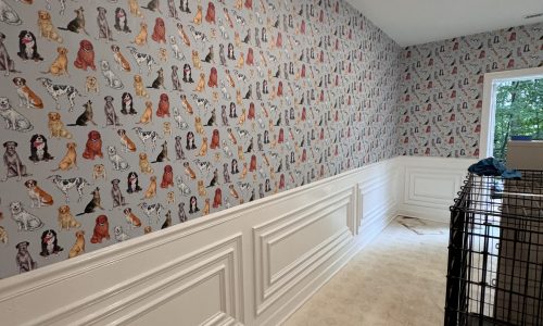 Dog Room Interior