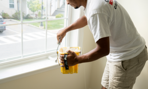 Interior Painting Project