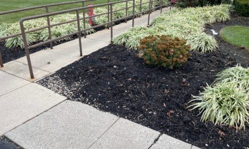 ADA-Compliant Concrete Sidewalk Replacement in Blue Ash, OH (Before)