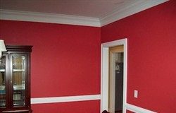 Bold Color