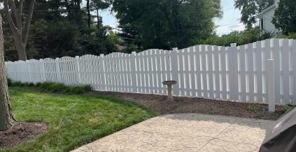 Exterior Fence Painting