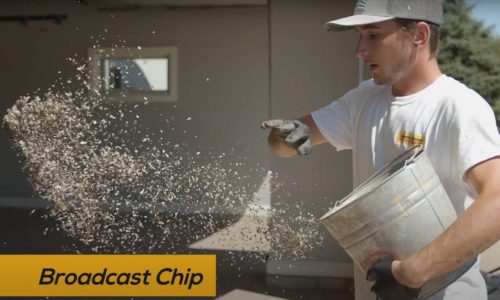 Broadcast Chips