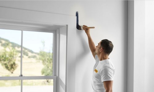 painter painting wall with roller
