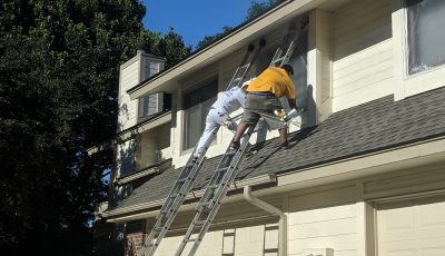 Exterior Home Painters