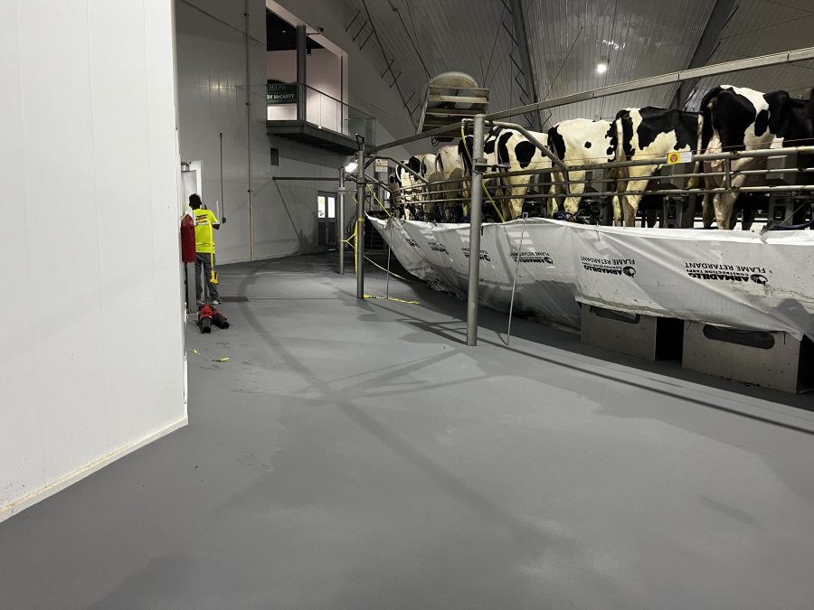 McCarty Farms Commercial Flooring Project after photo of walkway flooring Preview Image 5