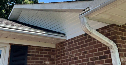 Aluminum Siding Painting Project