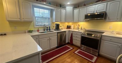 Kitchen Cabinet Repaint