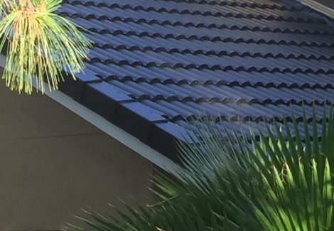 Roof Tile Painting - Close-up