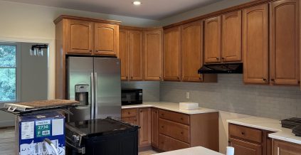 Interior House Painting Painting