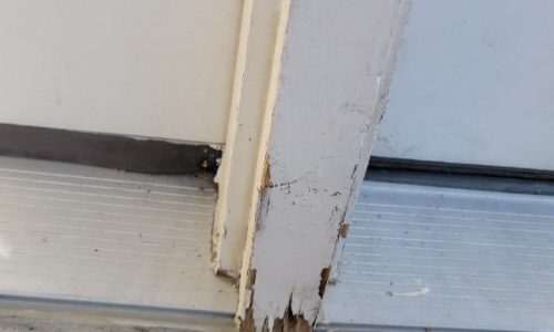 Peeling Paint