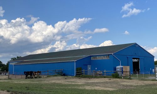 Vibrant Blue Finish