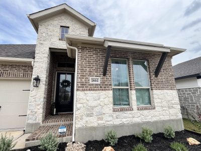 Limewashing Project