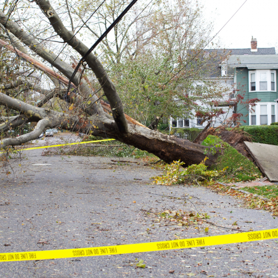 Storm Damage