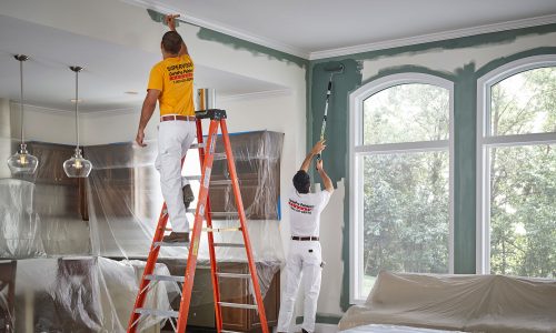 Interior Painting Professionals
