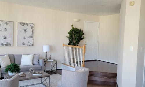 Entryway Painting