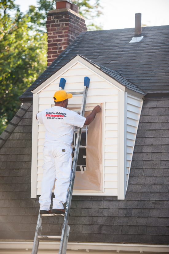 professional house painting exterior
