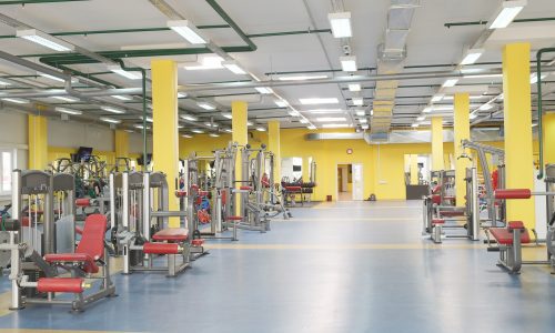Gym Painting Project