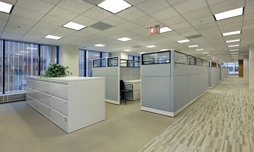 Office Painting Project