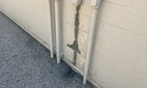 Paint Damage