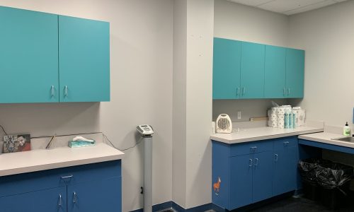 Lab - After