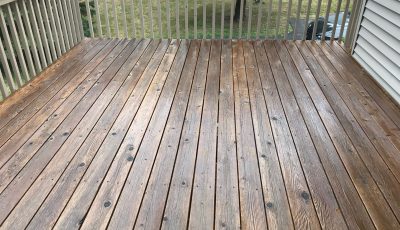 professional deck painters St Paul