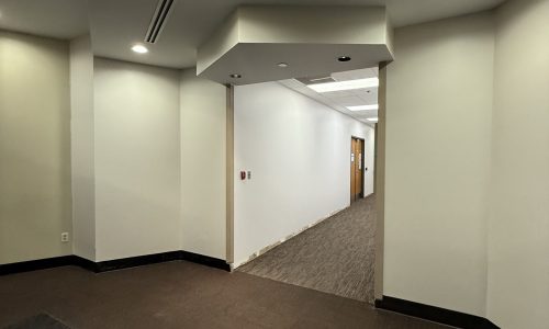 Completed Paint Updates
