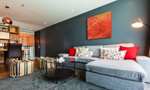 gray living room interior
