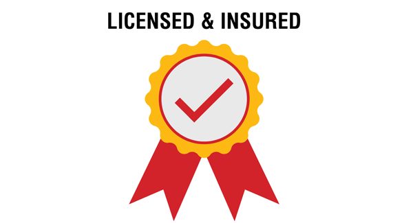 License and Insured
