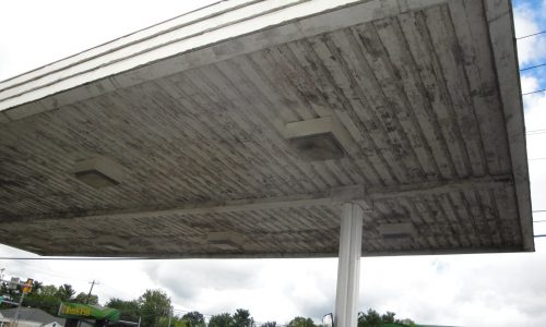 Canopy Before