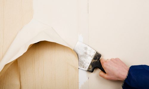 wallpaper removal process
