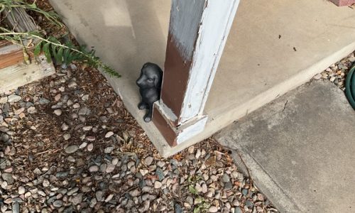 Porch Support Posts