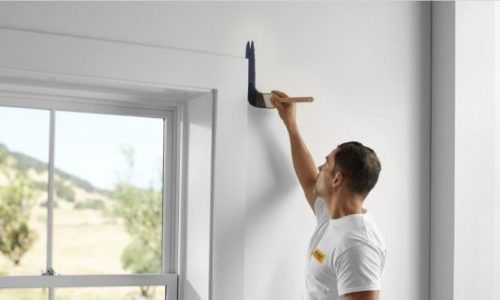 Interior Painting
