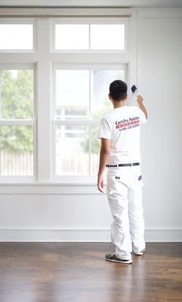 painter in south shore