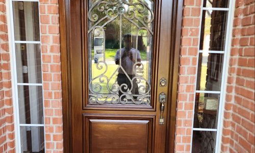Door Painting